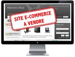 Opportunité d’investissement : Site e-commerce en vente, une occasion à ne pas manquer !