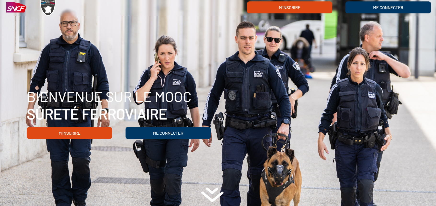 Formation agent de sécurité en ligne : programme, certification et démarches à connaître