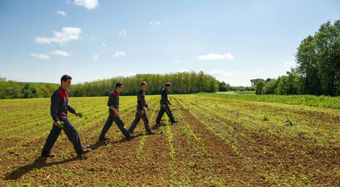 Formation agriculture en ligne : développez vos compétences agricoles à votre rythme