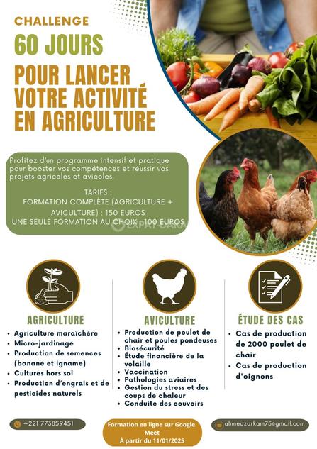 Formation aviculture en ligne : apprenez à élever des volailles à votre rythme