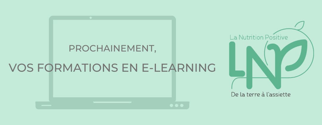 Formation nutrition en ligne gratuite : apprenez les bases de l’alimentation équilibrée
