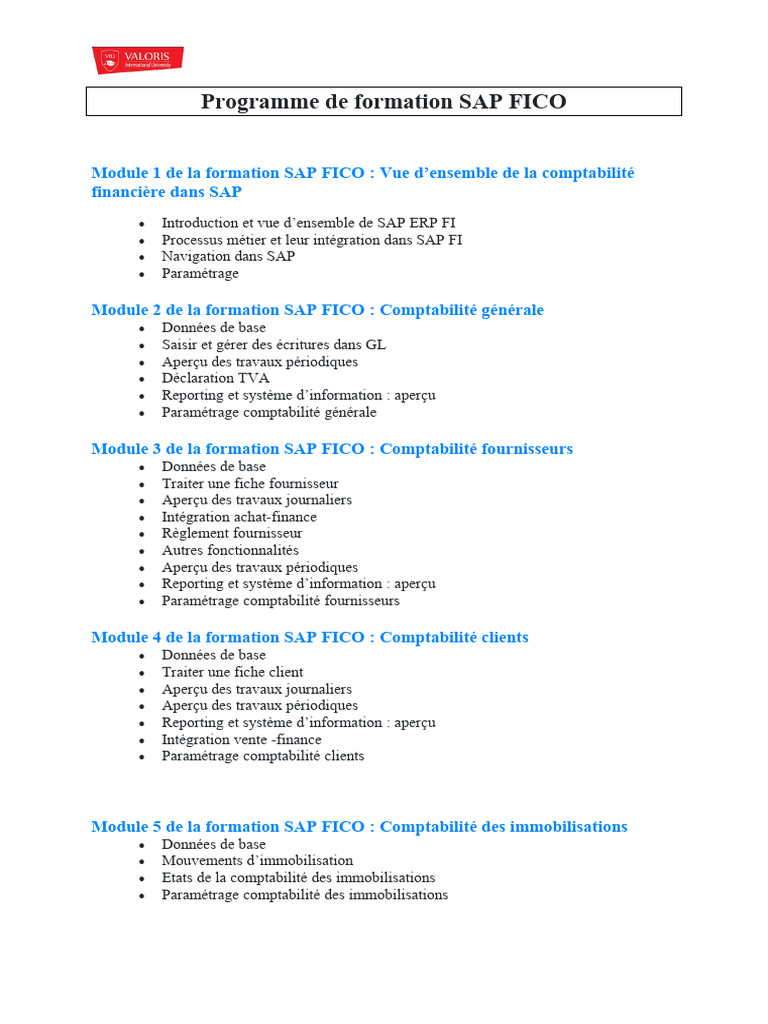 Formation SAP en ligne : développez vos compétences à votre rythme